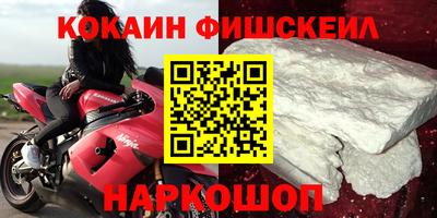 СК Бийск