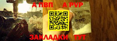 СК Бийск